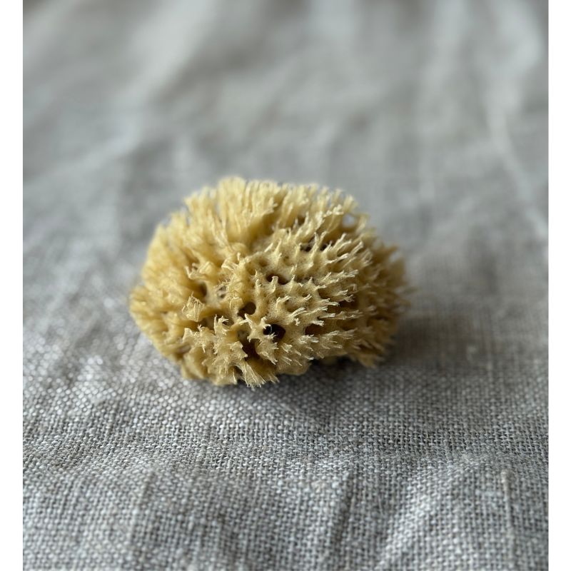 Genuine Face Sponge - Honeycomb, small