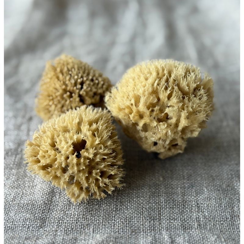 Genuine Face Sponge - Honeycomb, small