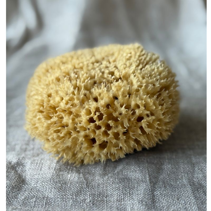 Genuine Body Sponge - Honeycomb, large
