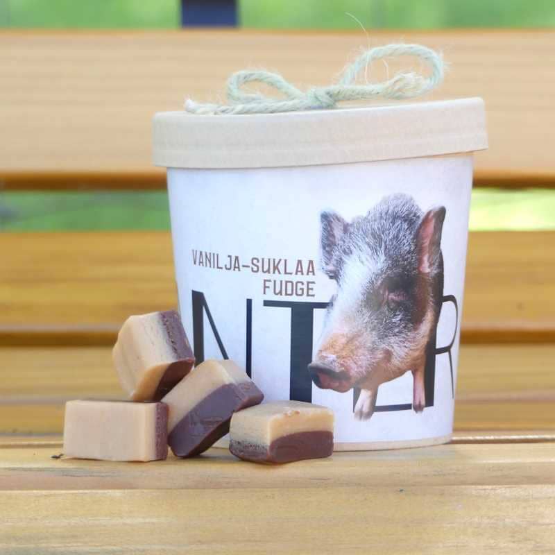 Anteron Vanilla-Chocolate Fudge - 150 g