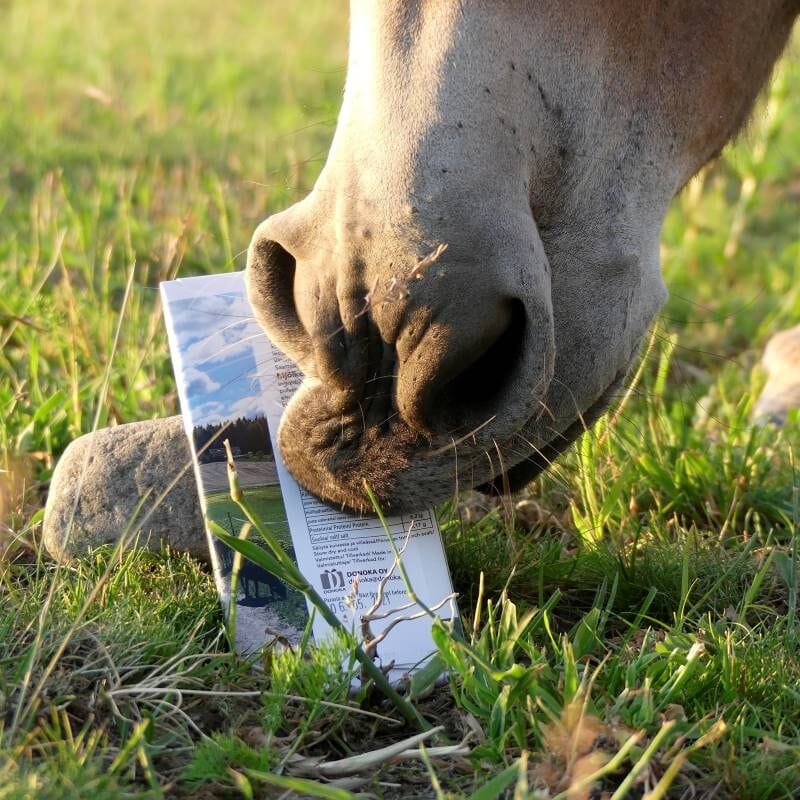 Good Feeling Milk Chocolate - 100g