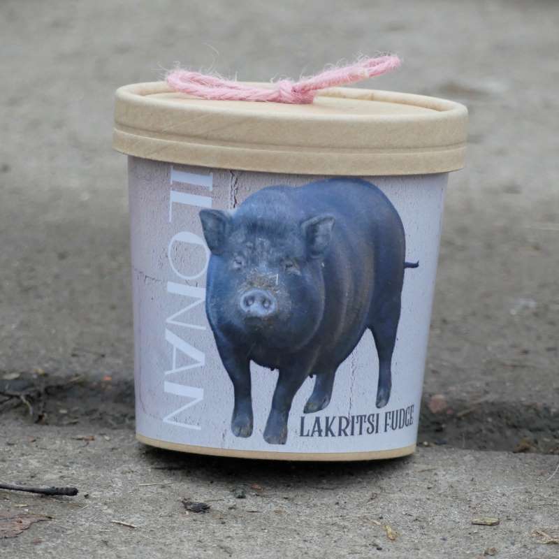 Ilonan Lempi Lakritsi Fudge 150 g