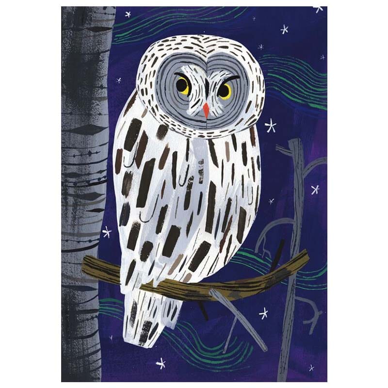 Great grey owl postcard