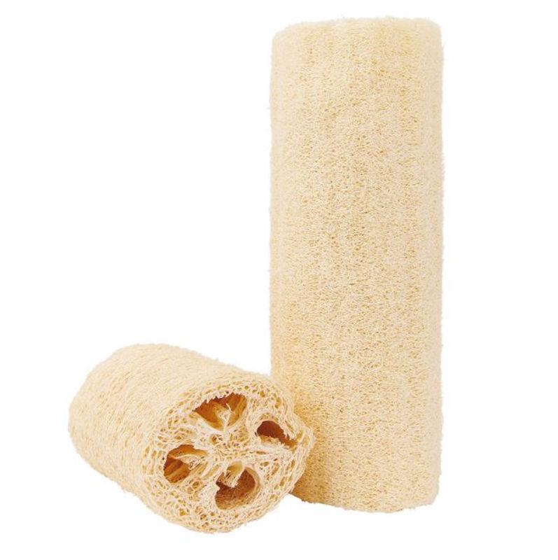 Luffa pesusieni