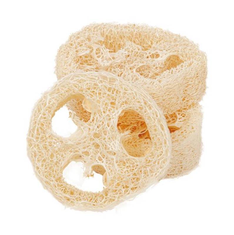 Luffa sponge piece