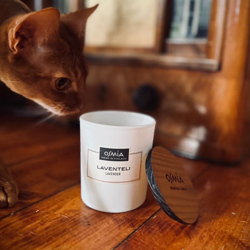 Osmia Tuoksukynttilä - Laventeli - 150g