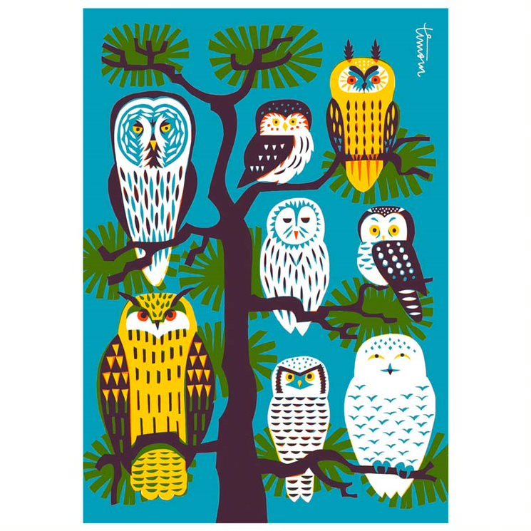 Owl tree postcard