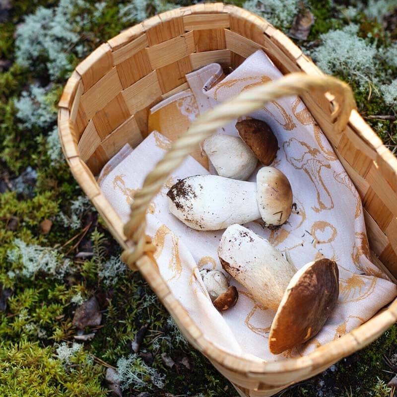 Sienimetsä pyyhe 46x70cm