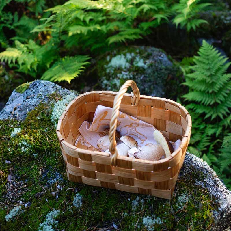 Sienimetsä pyyhe 46x70cm