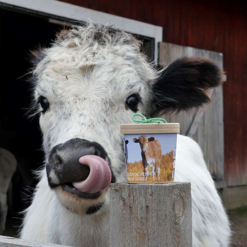 Tildan ja Hemmon Vanilja Fudge  150 g